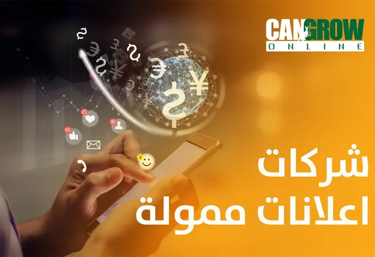 شركات اعلانات ممولة