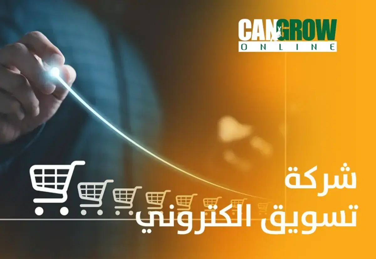 شركة ديجيتال ماركتنج