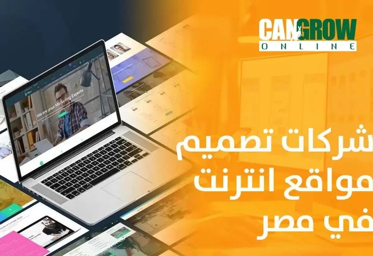 شركات تصميم مواقع انترنت في مصر
