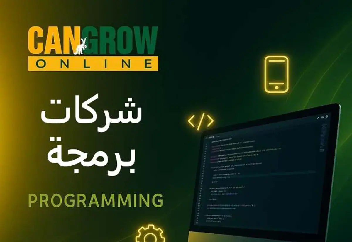 شركات برمجة في مصر