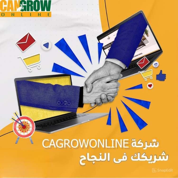 أفضل شركات التجارة الإلكترونية في مصر
