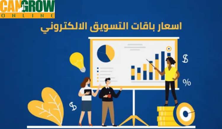 أسعار التسويق الالكتروني في مصر